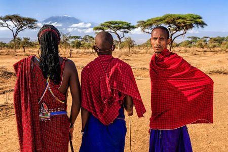 Northern of Tanzania Safari Experience