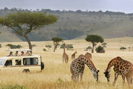 Here are the adventures that Africa can offer