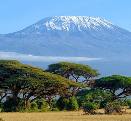 Climbing Kilimanjaro by Lemosho Route in 10 Days