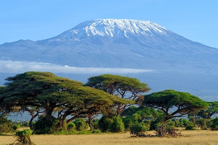 Climbing Kilimanjaro by Lemosho Route in 10 Days