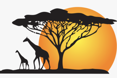 We must protect the environment