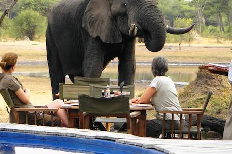 8 Days All Inclusive Safari Package to Katavi & Mahale Parks